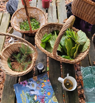 wicker baskets with foraged food