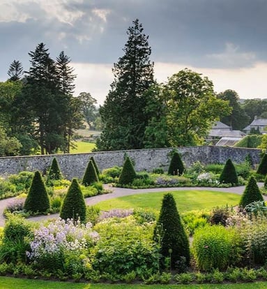 A walled garden with conical shaped yew trees