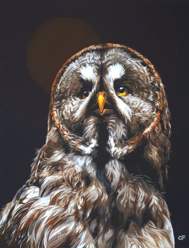 a painting of a great grey owl with dramatic lighting