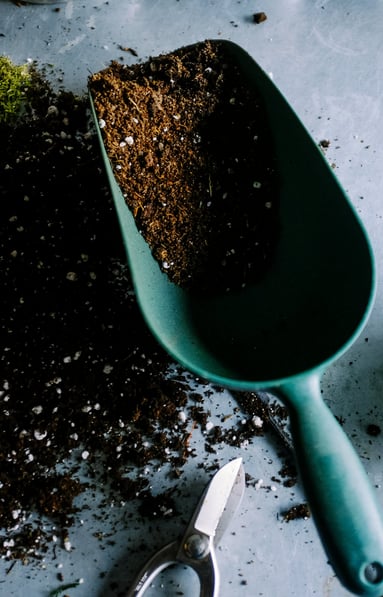 Compost in a scoop