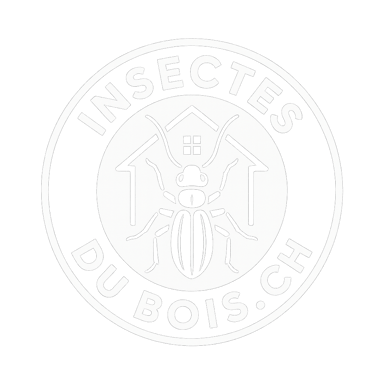 traitement insectes du bois logo