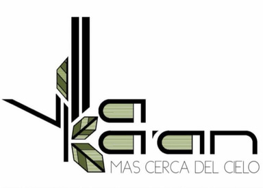 Villas Kaan logo