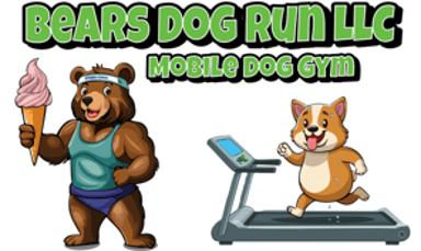 Bears Dog Run logo