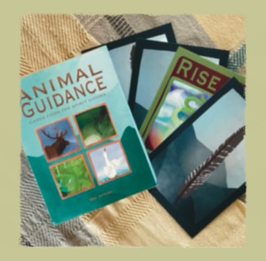 Animal Guidance oracle cards
