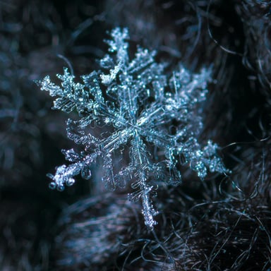 Close up of an icicle