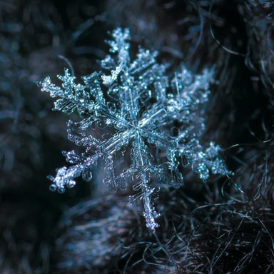 Close up of an icicle