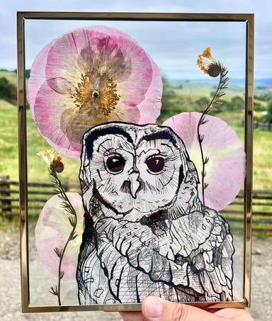 a drawing of a northern spotted owl surrounded by pressed flowers