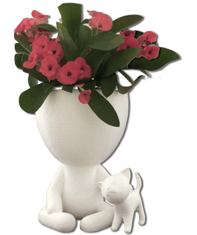 Pots de fleur amusants