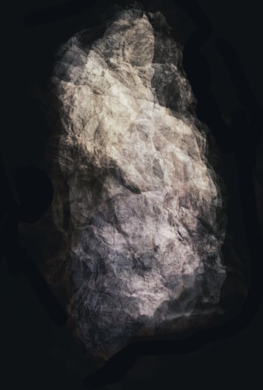 an abstract photograph of a a human torso