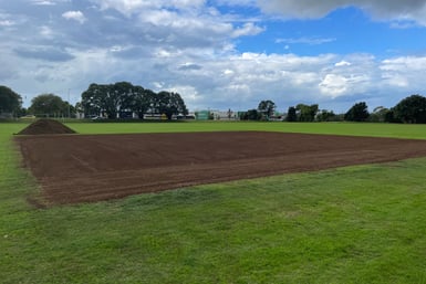 Cricket Wicket Renovation