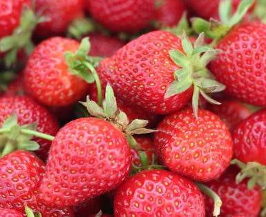 fresas para blanquear los dientes