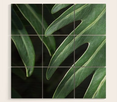 Tropical Leaves on Black Wood Wall Art BY Brooke T Ryan Photography