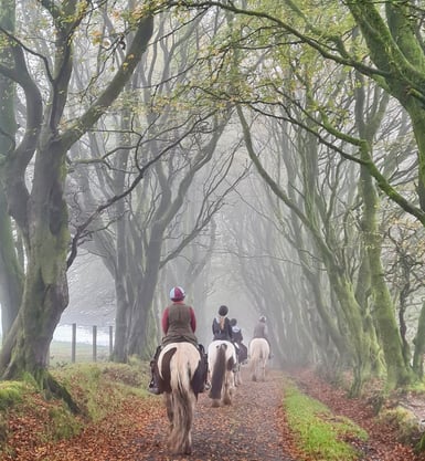 a group of people riding horses down a path