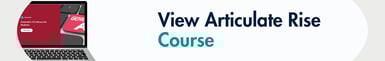 View Articulate Rise Course