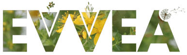 EVVEA logo