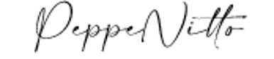GALLERIA FOTO STUDIO NITTO logo