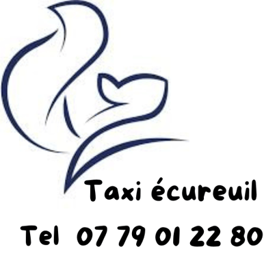 Taxi Ecureuil logo