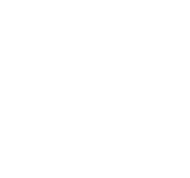 Andrea Volpintesta logo