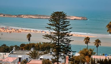 beach oualidia morocco with a view of a beach and palm trees