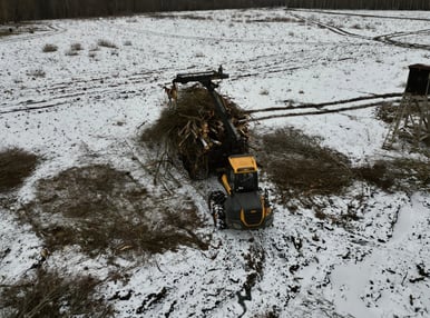 Apleistų vietovių tvarkymas