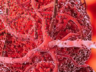 mRNA Cancer cells