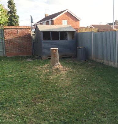 freshly cut lawn in a worcester garden carried out by that garden guy