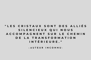 a quote from the author of the book, les miserables