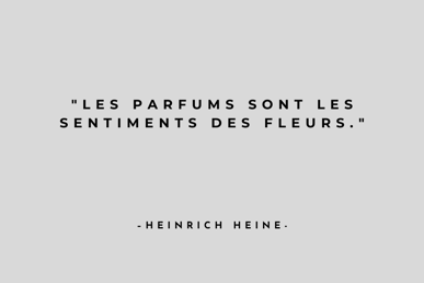 a quote from the famous french writer of the novel, les parfums