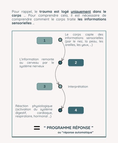 lmtc, libération mémoires traumatiques du corps, anxiété, stress, phobies, thérapie, émotion