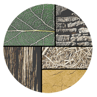 Camille Daigremont architecte logo