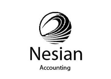 Nesian Accounting and Data logo