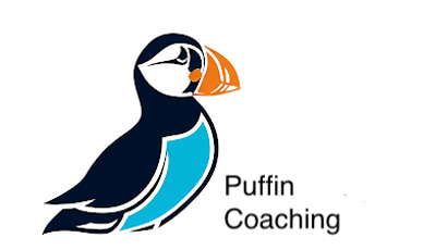 Puffin Navigate Coaching logo