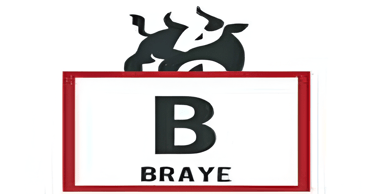 BRAYE COMERCIAL S.A. DE C.V logo
