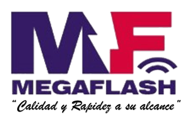 mega flash logo