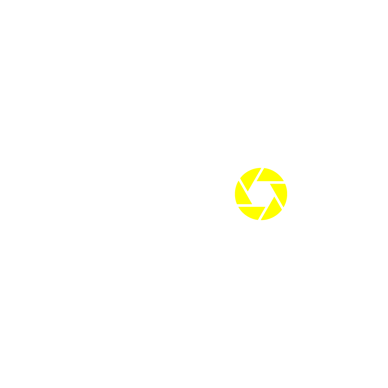 VIMOX logo