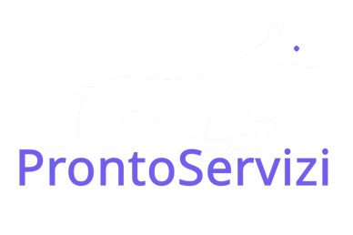 prontoservizi logo