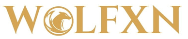 Wolfxn logo