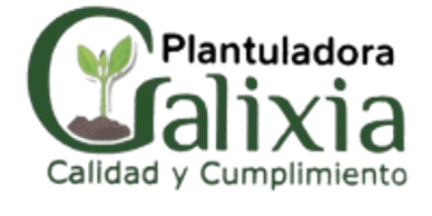 Cajamarca Tolima logo