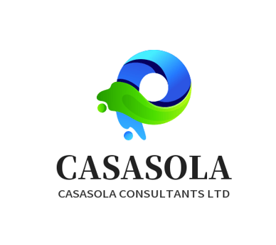 casasolaconsultants.shop logo