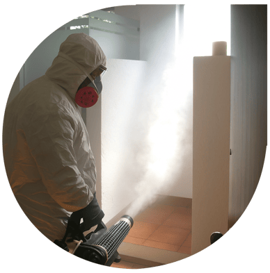 Personal de NOAM realizando fumigación profesional en oficina con equipo especializado
