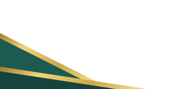 a decorative element for a tampa bay commercial real estate website
