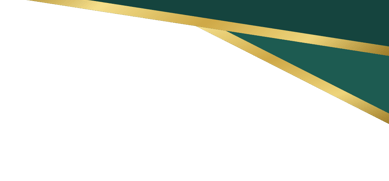 a decorative element for a tampa bay commercial real estate website