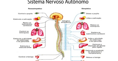 Medicamentos para o Sistema Nervoso Central