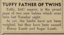 Ram Page clipping of Tuffy becoming a father - February 1949