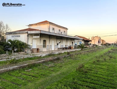 Estação de Cantanhede linha da Beira Alta ano 2024