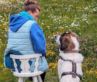 coaching mit Hund und BesitzerIn Gespräch