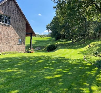 a house with a large lawn and a large tree