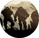 logo client