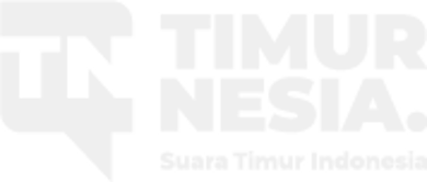 Timurnesia logo