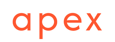 Apex Consultancy LLC logo